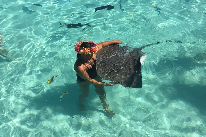 Half day Excursion, Drift Snorkeling Lagoon Adventure. 3H - Key things to know before you go