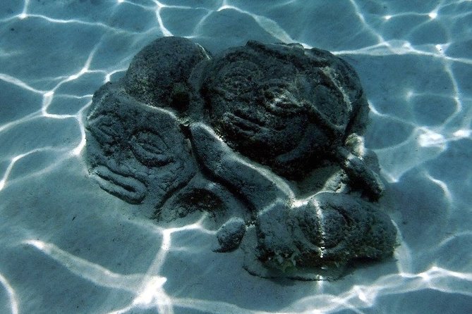 Half day Excursion, Drift Snorkeling Lagoon Adventure. 3H - What you might spot most often: turtles, rays, and the occasional shark