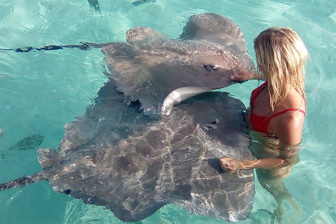 Half day Excursion, Drift Snorkeling Lagoon Adventure. 3H - Snorkeling help for first-timers, kids, and mixed-ability groups