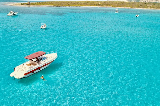 Half Day Excursion to Asinara (3h) - A Half-Day Catamaran to Asinara’s Most Protected Coast