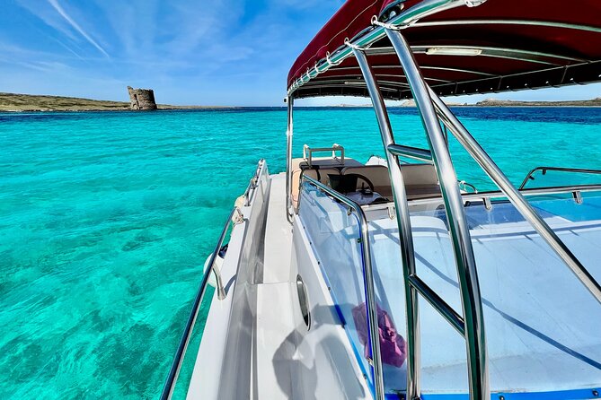 Half Day Excursion to Asinara (3h) - The Sail Out: Rugged Coasts and the Best Part of Moving Day