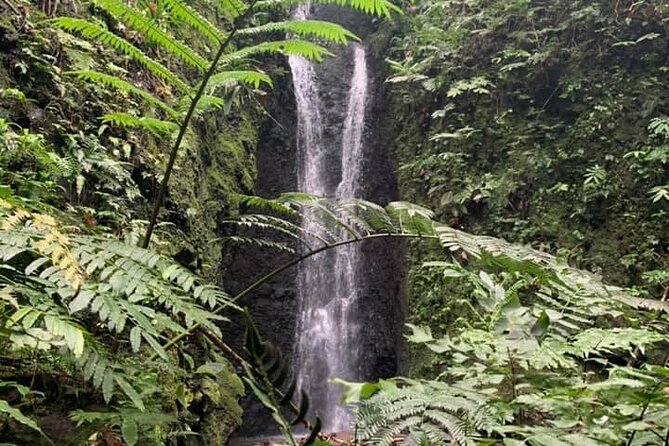 Half-Day Guided Hike to Afareaitu Waterfall - Key highlights