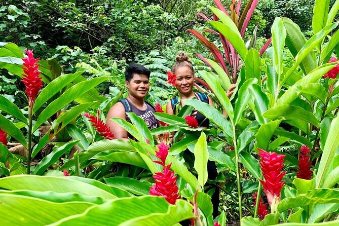 Half-Day Guided Hike to Afareaitu Waterfall - Afareaitu Waterfall: why this hike feels different from a basic tour