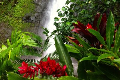 Half-Day Guided Hike to Afareaitu Waterfall - Sacred valley walking: temples, terraces, and legends along the way