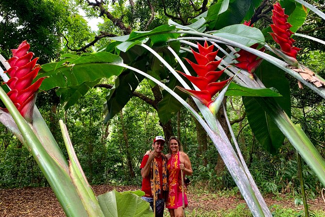 Half-Day Guided Hike to Afareaitu Waterfall - Pickup, timing, and meeting point: plan around Moorea logistics