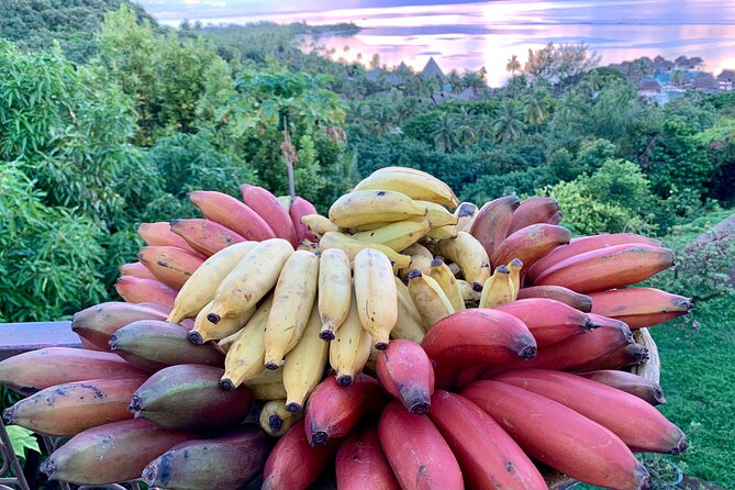 Half-Day Guided Hike to Afareaitu Waterfall - Price and value: what you’re paying for at $97.17 per person