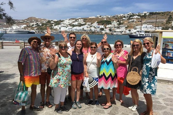 Half-Day Highlights of Mykonos Tour - Who this half-day Mykonos tour suits best (and who should skip it)