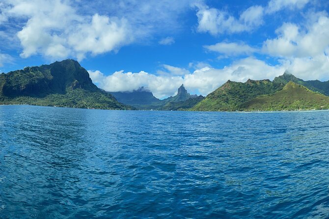 Half-Day Humpback Whales Encounter in Moorea - Key things that make this Moorea whale encounter stand out