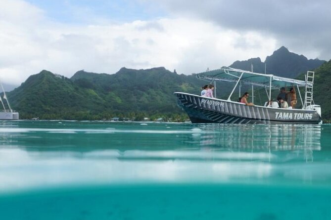 Half-Day Humpback Whales Encounter in Moorea - Meet Captain Tamatoa and get the safety briefing right