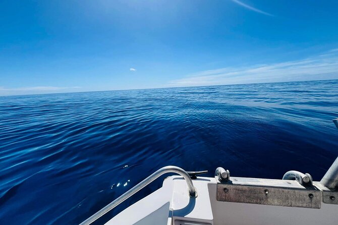 Half-Day Humpback Whales Encounter in Moorea - Swimming vs. watching from the boat (and how group splitting works)