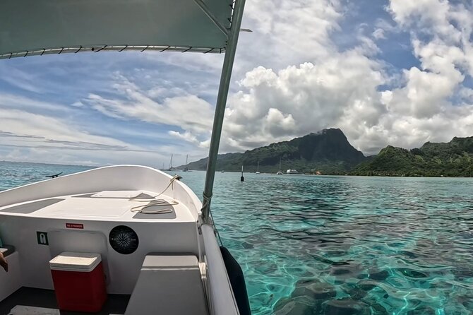 Half-Day Humpback Whales Encounter in Moorea - Price and value: is $236.85 worth it?
