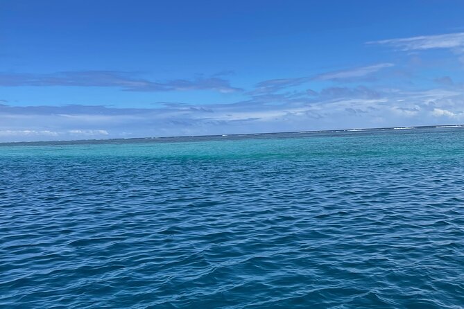 Half-Day Humpback Whales Encounter in Moorea - Where to meet and how to plan your day around it