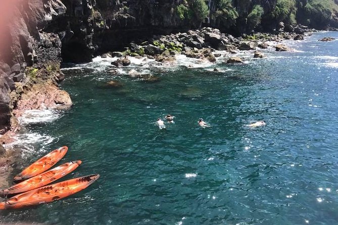 Half day kayak tours - From Funchal harbor to the Garajau coast: how the 3 hours play out