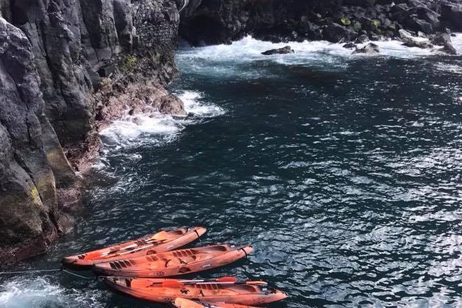 Half day kayak tours - Garajau to Lazareto: the 40-minute paddle and what you’ll notice on the way