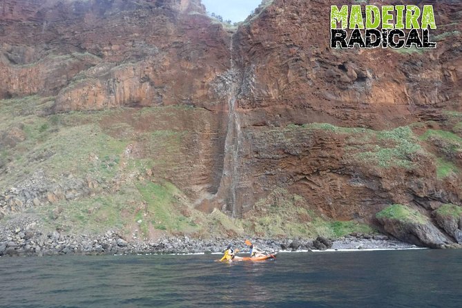 Half day kayak tours - Snorkeling in the native marine environment: when it goes right, it’s unforgettable