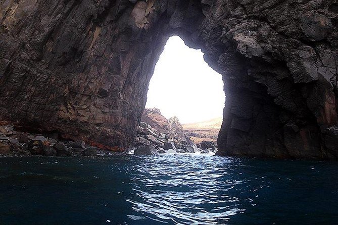 Half day kayak tours - Cliff jumping before heading back: the thrill moment (and the safety mindset)