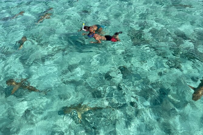 Half day lagoon safari tour in Bora Bora- Shared tour - Key Highlights You’ll Feel Fast