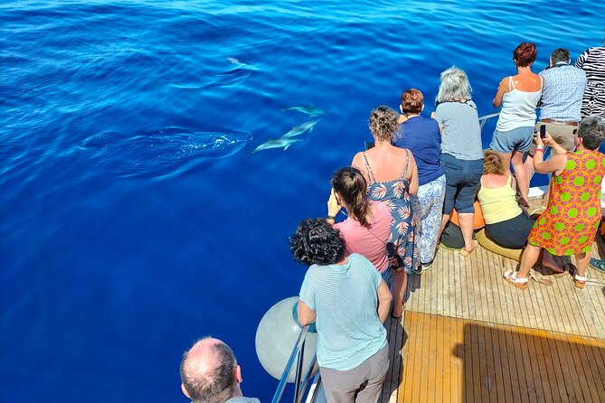 Half Day Madeira Island Cruise with Lunch - Price and Value: Why This $83.87 Boat Ticket Makes Sense