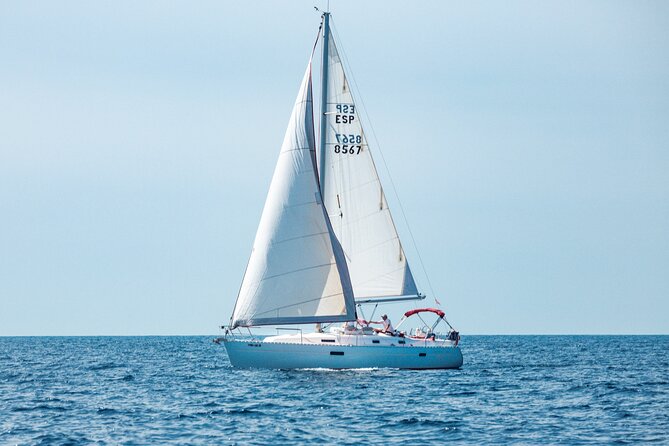 Half day on a private sailboat in Mallorca (port d'andratx) - The Cove Routine: Snorkel, Paddle, Swim (Then Relax Like You Mean It)