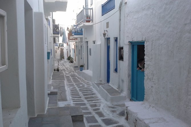 Half-Day Private Guided Tour in Mykonos - Ano Mera: the square, the tavernas, and a spinach pie taste