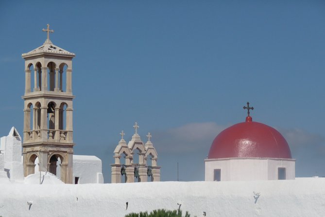 Half-Day Private Guided Tour in Mykonos - Beaches: Agrari for calm or Paradise for party energy