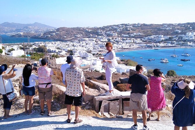Half-Day Private Guided Tour in Mykonos up to 6 - Windmills at Kato Milli: quick, iconic, and worth the stop