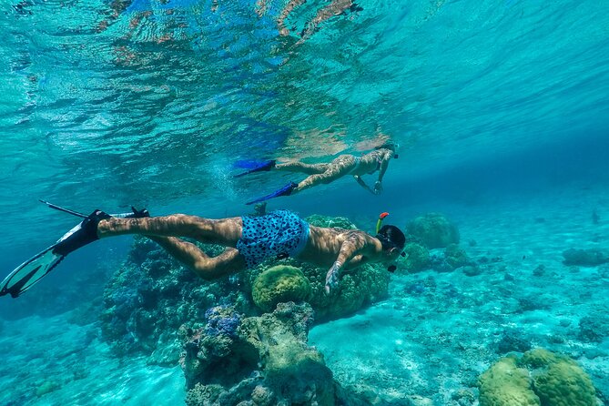 Half Day Private Lagoon Snorkeling Experience - From hotel pickup to a motorized canoe glide