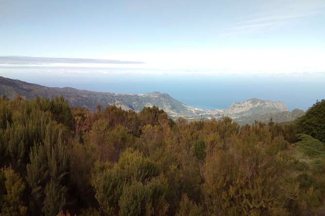 Half-Day Private Sidecar Tour on Madeira’s West Coast - When the guide adapts the ride (and how that helps you)