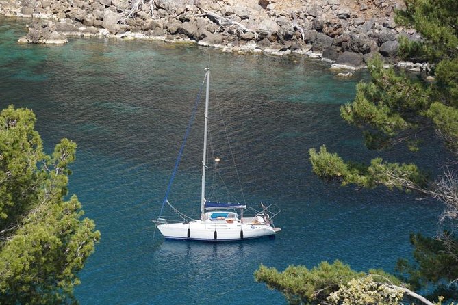 Half Day Sailing Excursion along the Coast - Price and Value: When $955.40 Makes Sense (and When It Doesn’t)