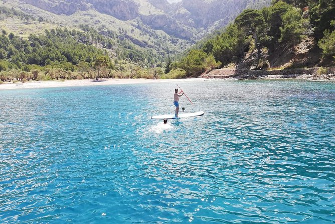 Half Day Sailing Excursion along the Coast - Meeting Point in Port de Sóller: The Taxi Tip That Saves Time