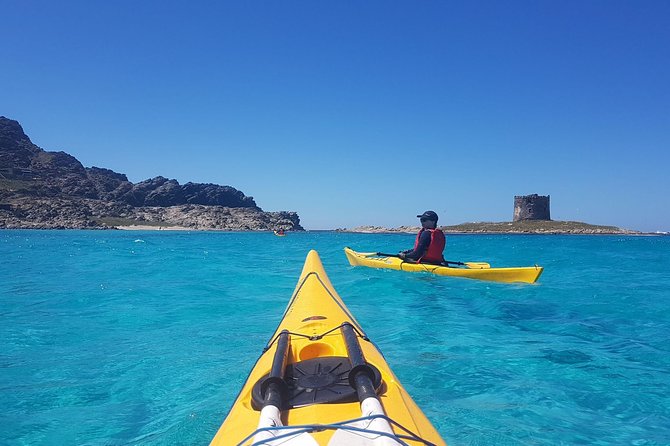 Half Day Sea Kayak Trip - Key things I’d pencil in before you go