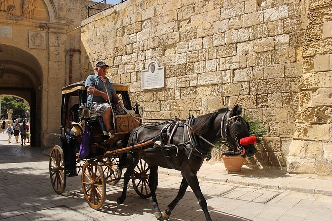 Half Day Shared Tour in Malta - Mdina Silent City: 90 minutes to walk the medieval streets