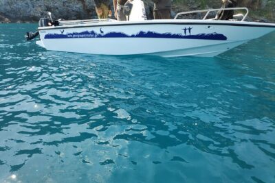 Half-Day Small-Group Boat Safari in Crete - Getting There Without Road Stress: Georgioupolis Transfers and Meeting Point