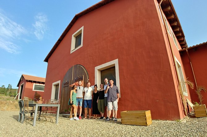 Half-Day Small-Group Wine Experience with Wine Expert from Cagliari - Making It Work Smoothly: Timing, Questions, and What to Bring