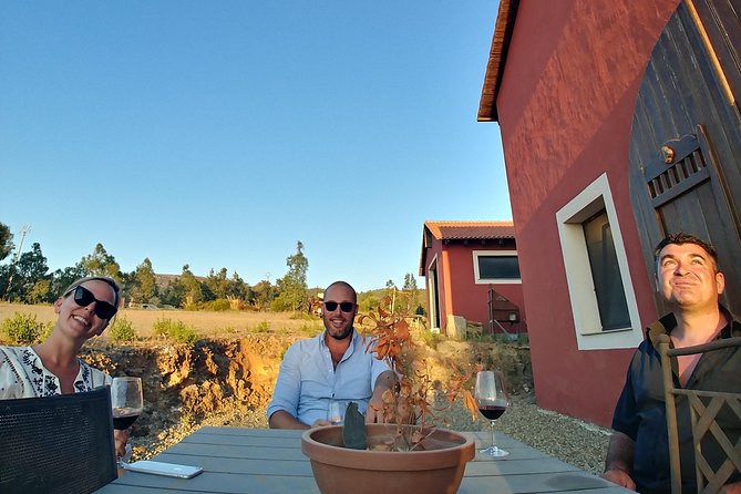 Half-Day Small-Group Wine Experience with Wine Expert from Cagliari - Parteolla Wine Land: Why the Countryside Drive Matters