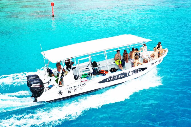 Half Day Snorkeling in Moorea - Key Points You Should Know Before You Go