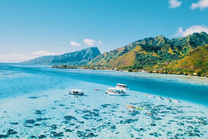 Half Day Snorkeling in Moorea - Why This Half-Day Boat + Snorkel Works So Well