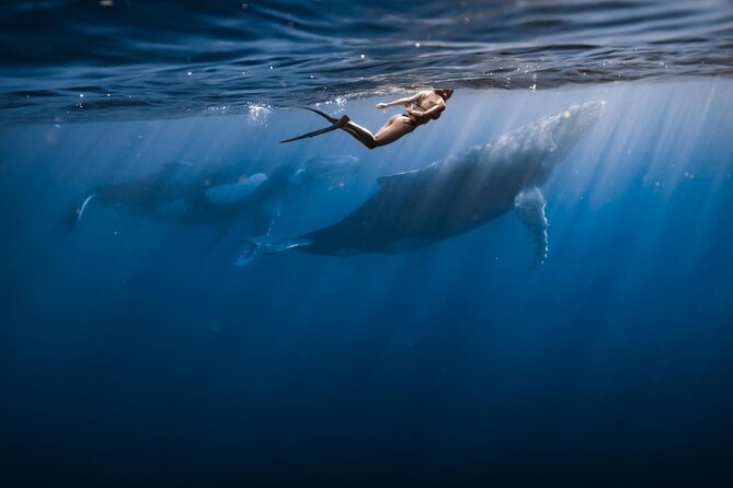 Half Day Snorkeling in Moorea - The Snack Break: Fruit, Drinks, and a Bit of Culture