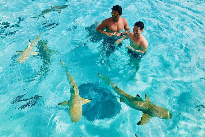 Half Day Snorkeling in Moorea - Getting There: The 8:30am Start and How Pickup Fits In