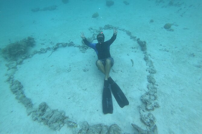 Half-Day Snorkeling Tour in Tahiti - The Fishermen’s Point Finish: Sapinus Bay and Turtle-Plus Fish Swarms
