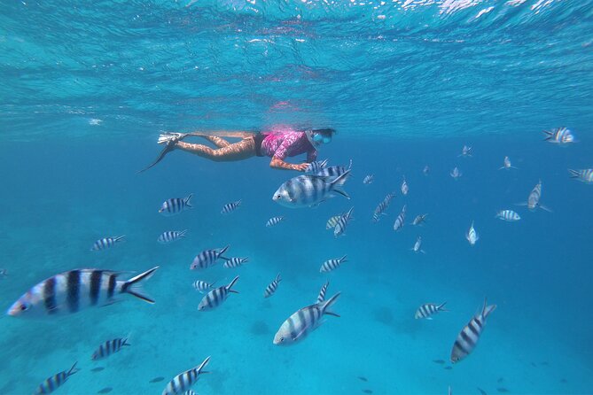Half-Day Snorkeling Tour in Tahiti - Gear, Drinks, and Snacks: What’s Included (and What’s Not)