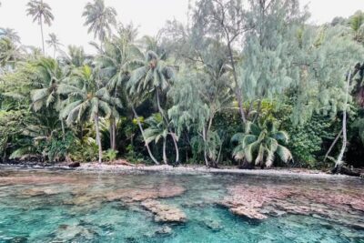 Half day Tahiti Peninsula and Teahupoo boat tour (shared boat) - Teahupoo viewing: watching the reef break with captain guidance