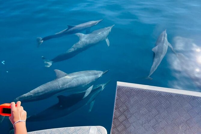 Half day Tahiti Peninsula and Teahupoo boat tour (shared boat) - Price and value: what $255.07 buys you on Tahiti’s south coast