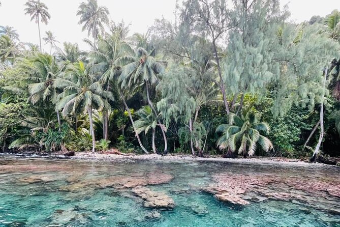 Half day Tahiti Peninsula and Teahupoo boat tour (shared boat) - Teahupoo viewing: watching the reef break with captain guidance