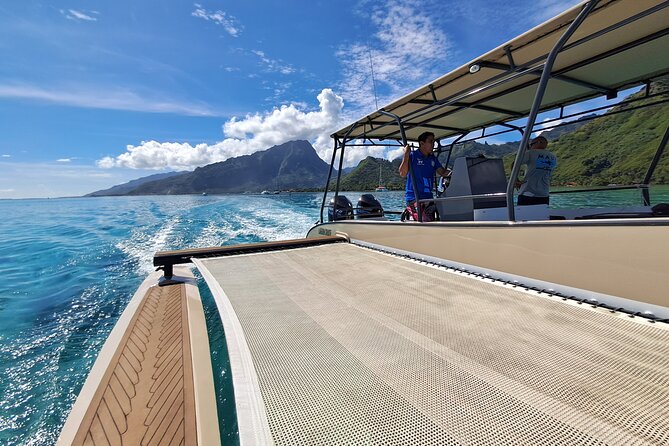 Half Day Tour lagoon discovery marine fauna flora small group - On-board breaks: fruit, drinks, and a cocktail pause