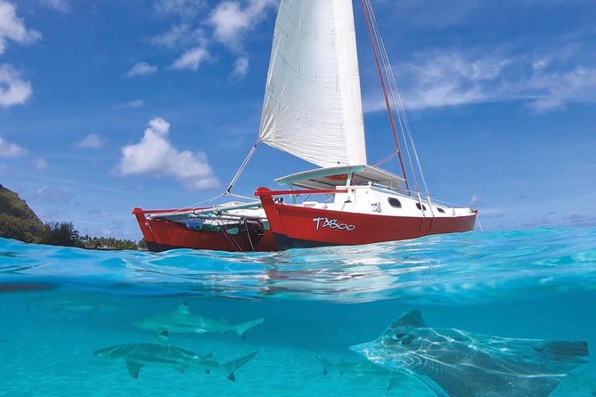 Half Day Tour : Moorea Snorkeling & Sailing on a Catamaran named Taboo - Key highlights you’ll care about