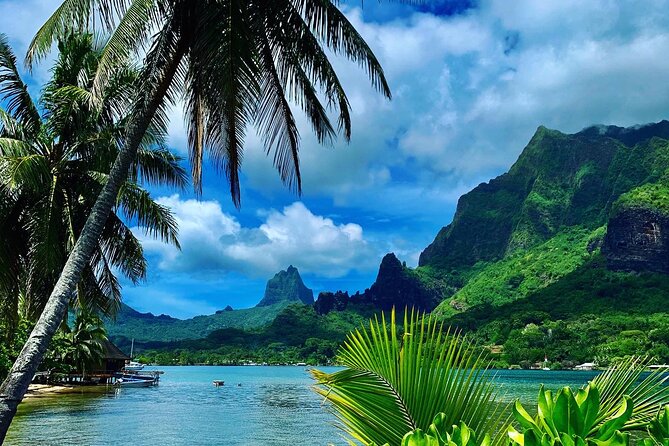 Half-Day Tour of Moorea Island in a Small Group - Key things you’ll notice on this Moorea half-day tour