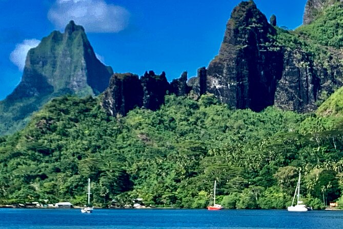 Half-Day Tour of Moorea Island in a Small Group - A Moorea half-day tour that balances views, stories, and tastes