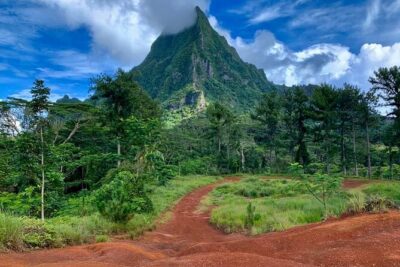 Half-Day Tour of Moorea Island in a Small Group - Getting there and getting around: pickup, mobile tickets, and the ride comfort reality