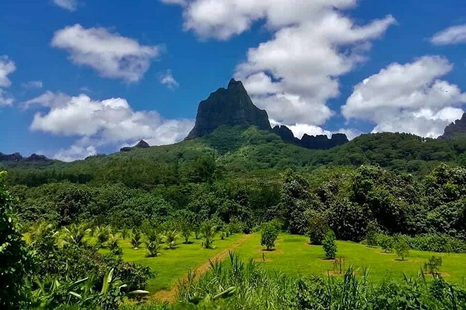 Half-Day Tour of Moorea Island in a Small Group - Rotui fruit juice factory: tasting island flavors and local alcohol